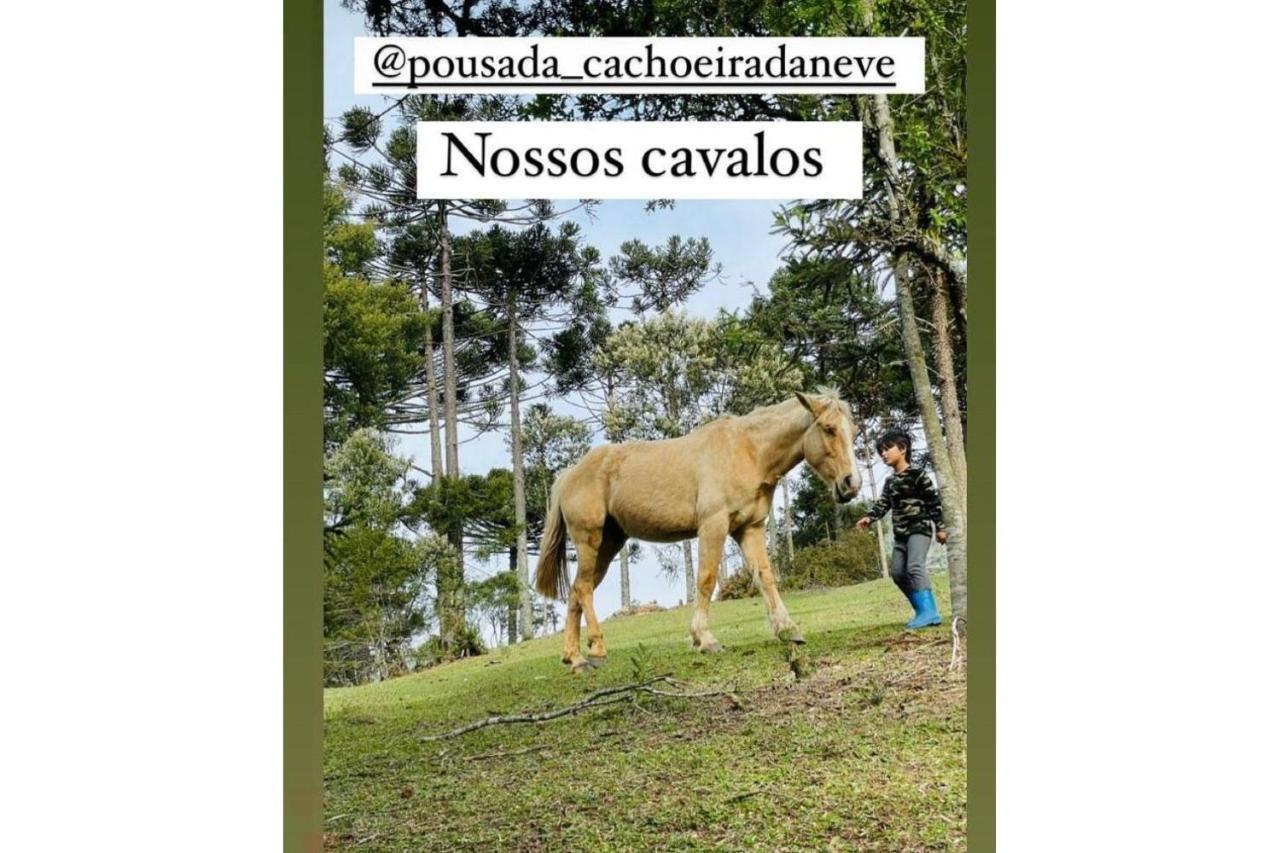 Floresta Secreta- Pousada Cachoeira da Neve Urubici Exterior foto